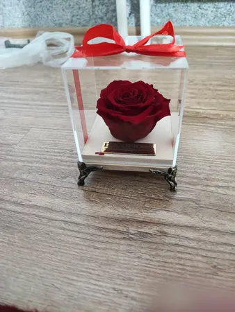 گل رز جاودان دکوفیوره طرح گل سرخ