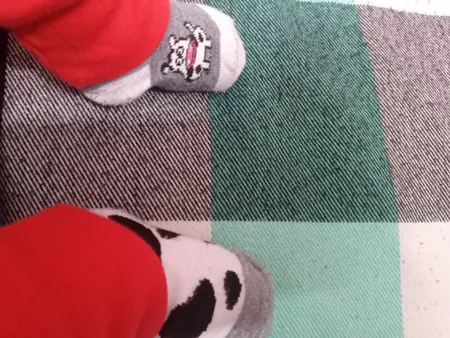 جوراب نوزادی طرح گاو