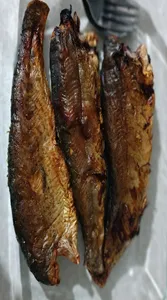 تجریه خرید هواپز 6.5 لیتر کن مدل 2054 BT