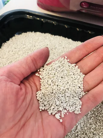 خاک بستر گربه کت مت وزن 10 کیلوگرم