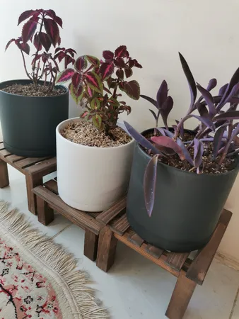 استند گلدان مدل NETWg02 مجموعه 2 عددی