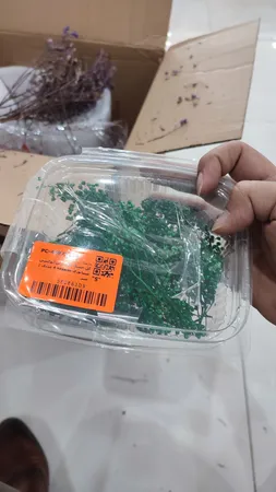 گل خشک مدل رزین اپوکسی مینیاتوری مجموعه 4 عددی