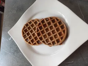 تجریه خرید وافل ساز سانیز مدل مینی سانی