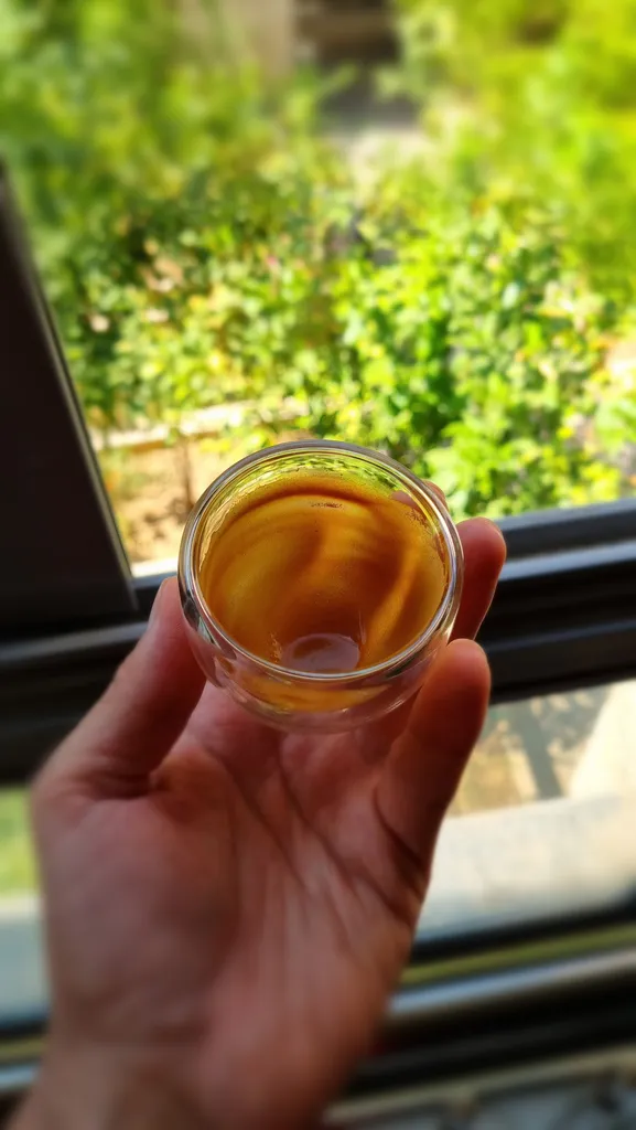 قهوه خوری مدل دو جداره کد BHA6 بسته 6 عددی