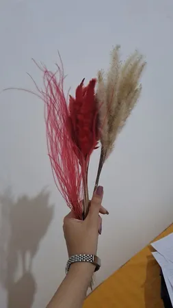 گل خشک مدل ریش بابا بسته 20 عددی