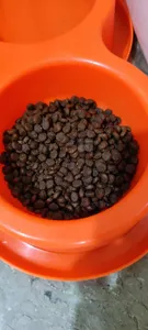 تجریه خرید غذای خشک گربه مفید مدل ADULT1400 وزن 2 کیلوگرم