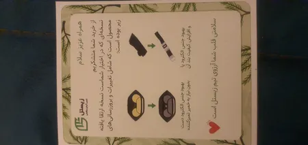 دستگاه نوار قلب خانگی زیستل مدل N-PEC1