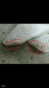 تجریه خرید کفی طبی پاپیا کد 87 سایز 43