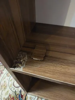 کتابخانه مدل FH11