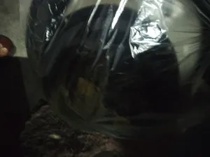 تجریه خرید قاب زیر سوپر تیوتر مدل ST4 بسته 2 عددی