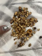 تجریه خرید گرانولا جودوسر و عسل نوتلا و فندق و شکلات چیپسی بدون گلوتن اونا - 380 گرم