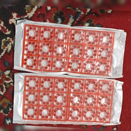 تیر تفنگ ترقه ای مدل 18 بسته 2 عددی