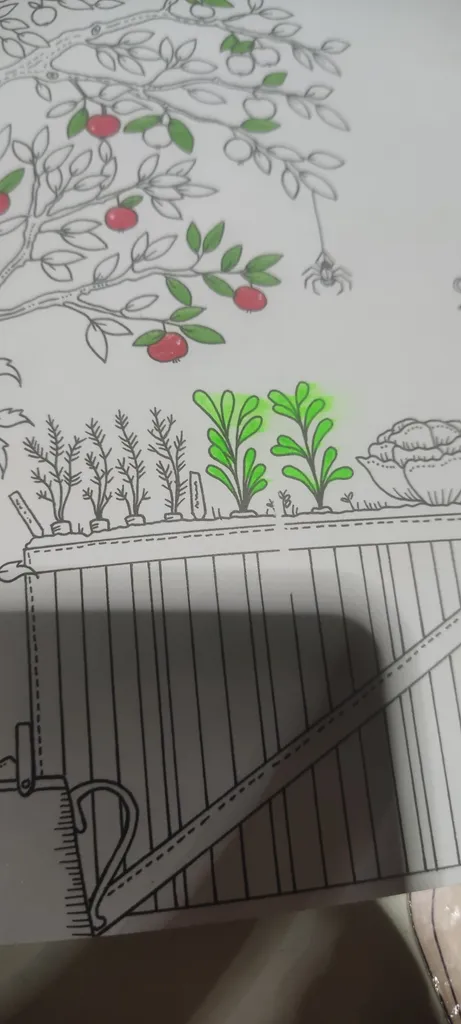 خودکار ژویکسوا مدل اکلیلی نئونی بسته 48 عددی