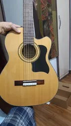 گلپیدور گیتار مدل B050