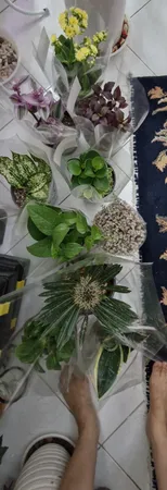 گیاه طبیعی آپارتمانی مدل AP12 مجموعه 9 عددی