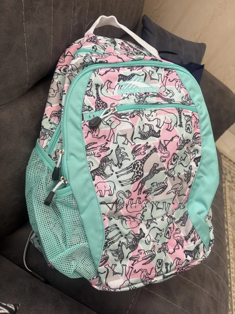 کوله پشتی سفری های سیرا مدل CURVE DAYPACK