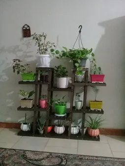 استند گل و گلدان مدل gol6