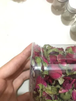 غنچه گل رز خشک مدل sanaz