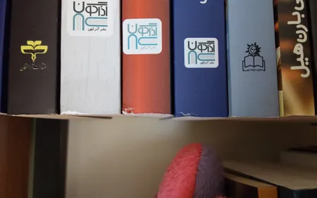 کتاب خدمتکار اثر فریدا مک‌فادن ترجمۀ بهاره غفوری و بهناز همتی و مریم موسوی نشر آذرگون 3 جلدی