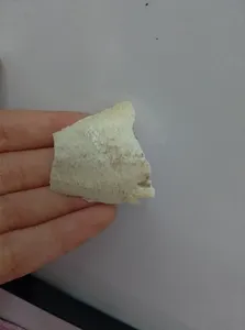 تجریه خرید کف دریا کد020 وزن 20 گرم به همراه گیره کلیپسی