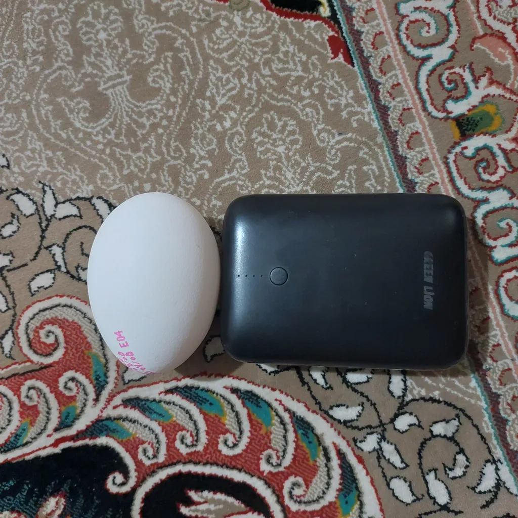 پاوربانک گرین لاین مدل PD&QC 20w ظرفیت 10000 میلی آمپر ساعت