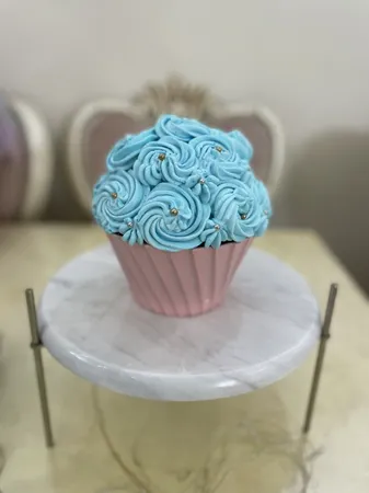 کاسه مدل باگر p41