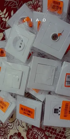 کلید دو پل دلند مدل آسا