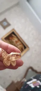 تجریه خرید انگشتر طلا 18 عیار زنانه طلا و شمش برلیان مدل پروانه کد 2025