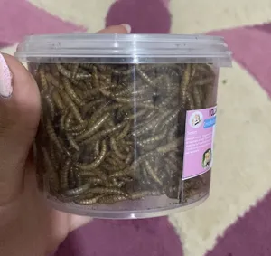 تجریه خرید غذای تشویقی همستر ولکانو میلورم کد MWH60 وزن 60 گرم