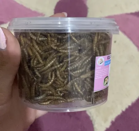 غذای تشویقی همستر ولکانو میلورم کد MWH60 وزن 60 گرم