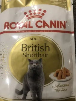 پوچ گربه رویال کنین مدل British Shorthair وزن 85 گرم