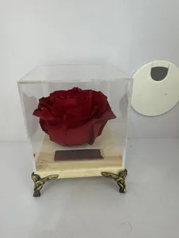 گل رز جاودان دکوفیوره طرح گل سرخ