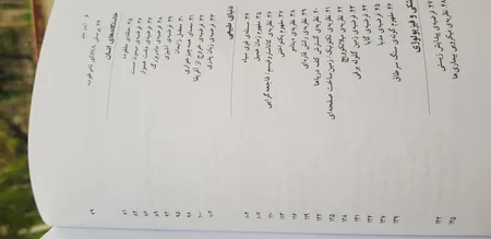 کرم روشن کننده سانیده آرا مدل Herbal وزن 50 گرم