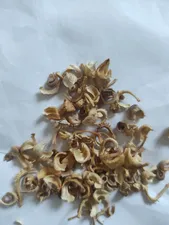 تجریه خرید بذر همیشه بهار الوان گیلدا کد 817