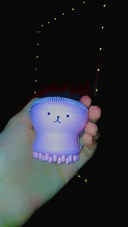 برس پاک‌سازی مدل B 0101