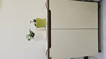 جاکفشی مدل 205C