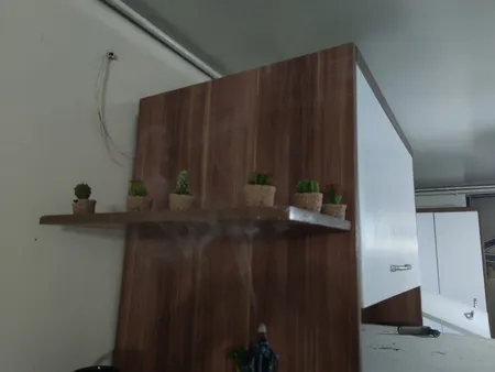 شمع طرح کاکتوس مجموعه 6 عددی