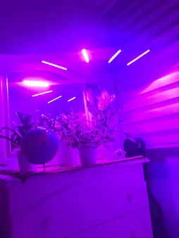 چراغ رشد گیاه 40 وات مدل Quad Head