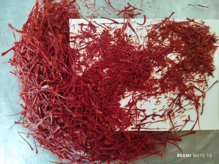 زعفران عاقله - 4.6 گرم