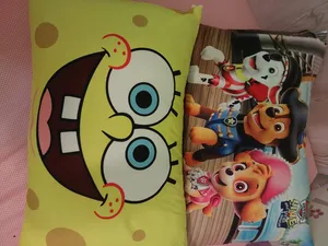 تجریه خرید روبالشی کودک هزاردستان طرح سگ های نگهبان کد rob173