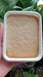 حلوا شکری ساده عقاب مقدار 400 گرم