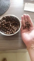 غذای خشک سگ مفید مدل Small Dog Food Adult وزن 1.5 کیلوگرم بسته 2 عددی