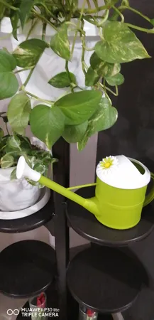 آبپاش دستی لیمون مدل TT