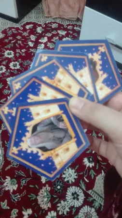 نشانگر کتاب مدل کارت شکلات قورباغه ای هری پاتر مجموعه 5 عددی