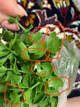 دسته گل مصنوعی مدل آبشار کد 486