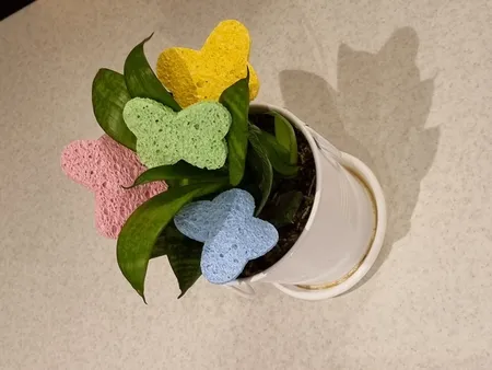 پد پاکسازی پوست مدل D-102 مجموعه 2 عددی