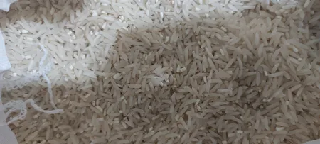 برنج ایرانی طارم فجر - 10 کیلوگرم