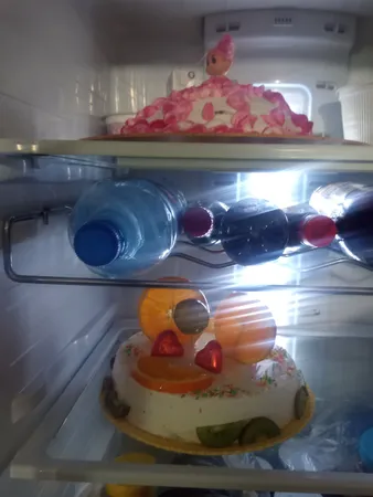 همزن فوما مدل 1995