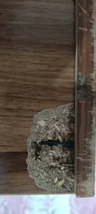 تجریه خرید کمد اداری مدل 5432