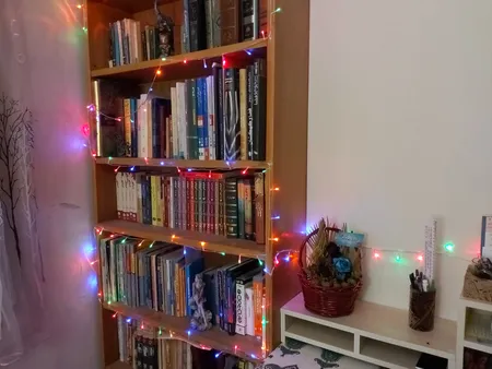 ریسه 10متری ال ای دی روژ کد GP019